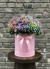 Цветочная композиция из Гипсофила и Розы в шляпной коробке в Заветы Ильича