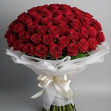 Букет 101 Красная роза Блэк Мэджик #REPLACE_PRED# Заветы Ильича