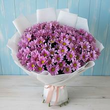 Букет цветов из:  Хризантемы в Заветы Ильича