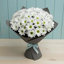 Букет цветов из:  Хризантемы в Заветы Ильича