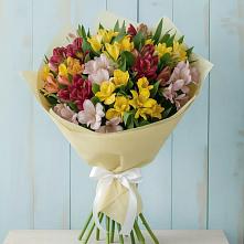 Букет цветов из:  Альстромерии в Заветы Ильича