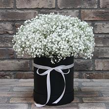 Цветочная композиция из Гипсофила в шляпной коробке в Заветы Ильича