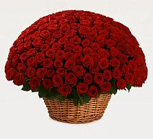 Премиум букет из: Розы #REPLACE_PRED# Заветы Ильича