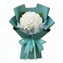 Букет цветов из:  Гортензия в Заветы Ильича